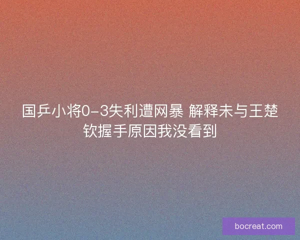 国乒小将0-3失利遭网暴 解释未与王楚钦握手原因我没看到 国乒小将0-3失利遭网暴 解释未与王楚钦握手原因我没看到