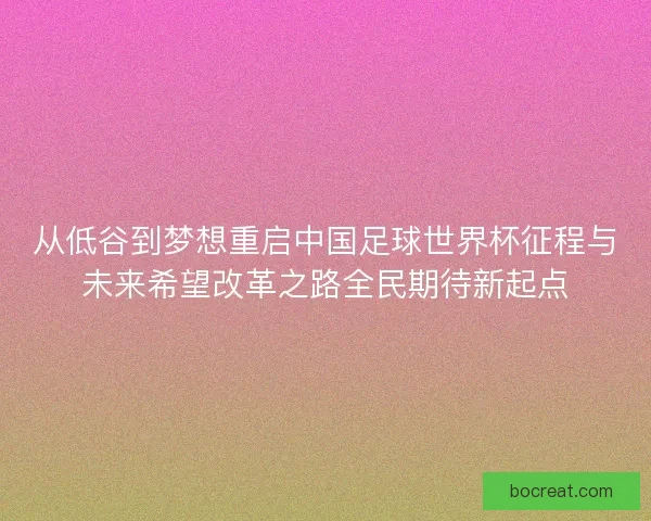 从低谷到梦想重启中国足球世界杯征程与未来希望改革之路全民期待新起点