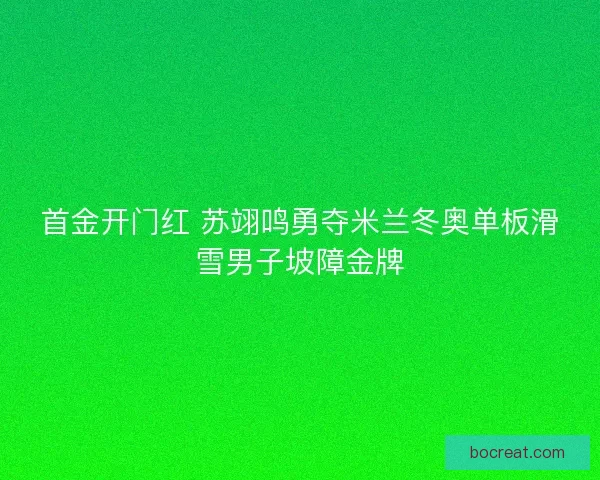 首金开门红 苏翊鸣勇夺米兰冬奥单板滑雪男子坡障金牌 首金开门红 苏翊鸣勇夺米兰冬奥单板滑雪男子坡障金牌